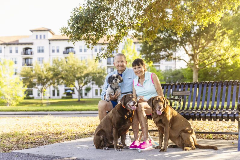 senior couple sit on bench in Baldwin Park with three dogs