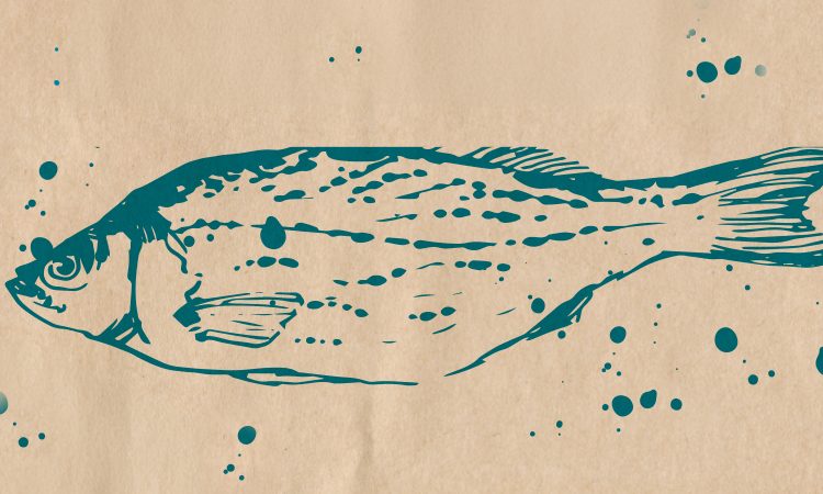 seafood-750x450