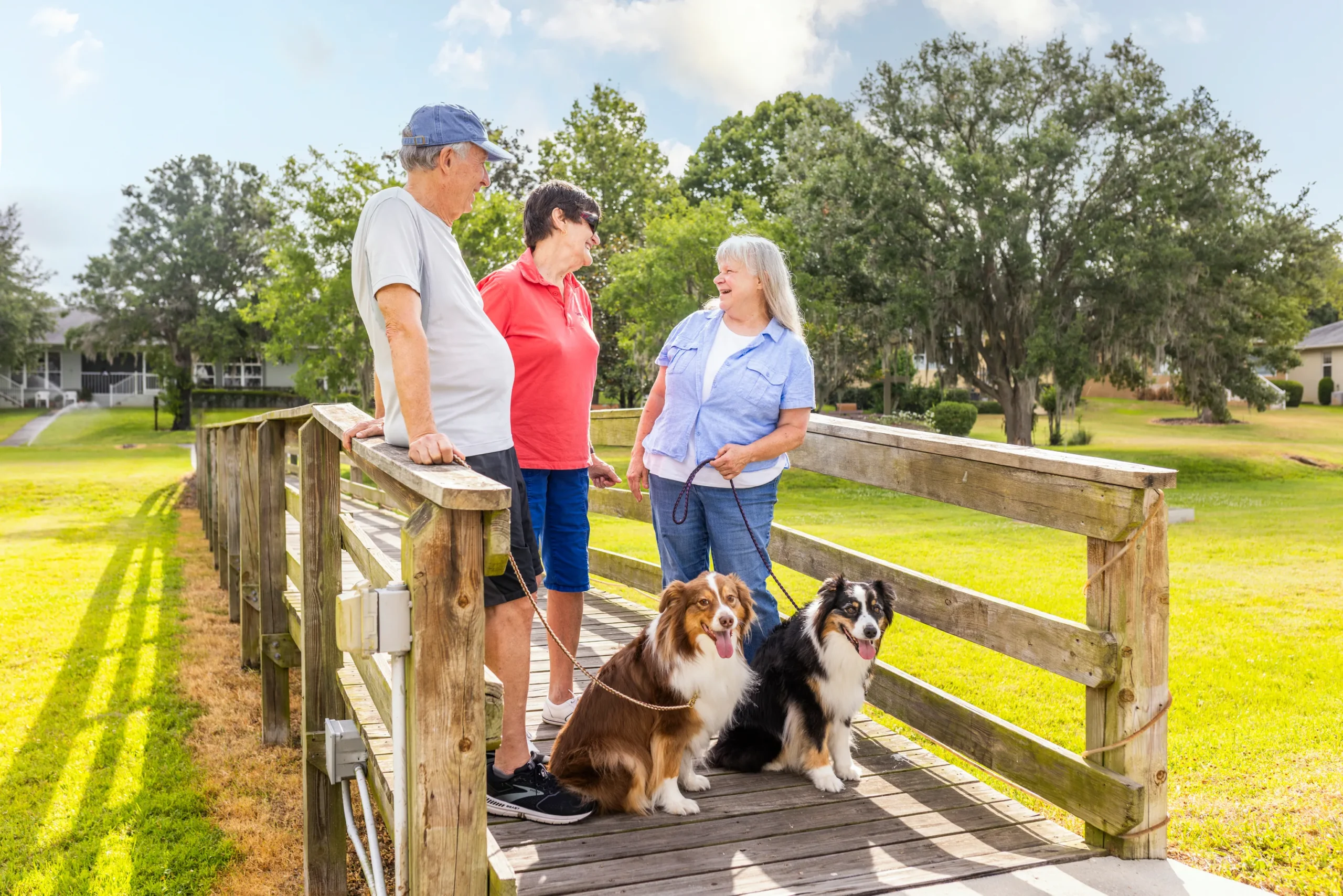 Senior friends walking dogs