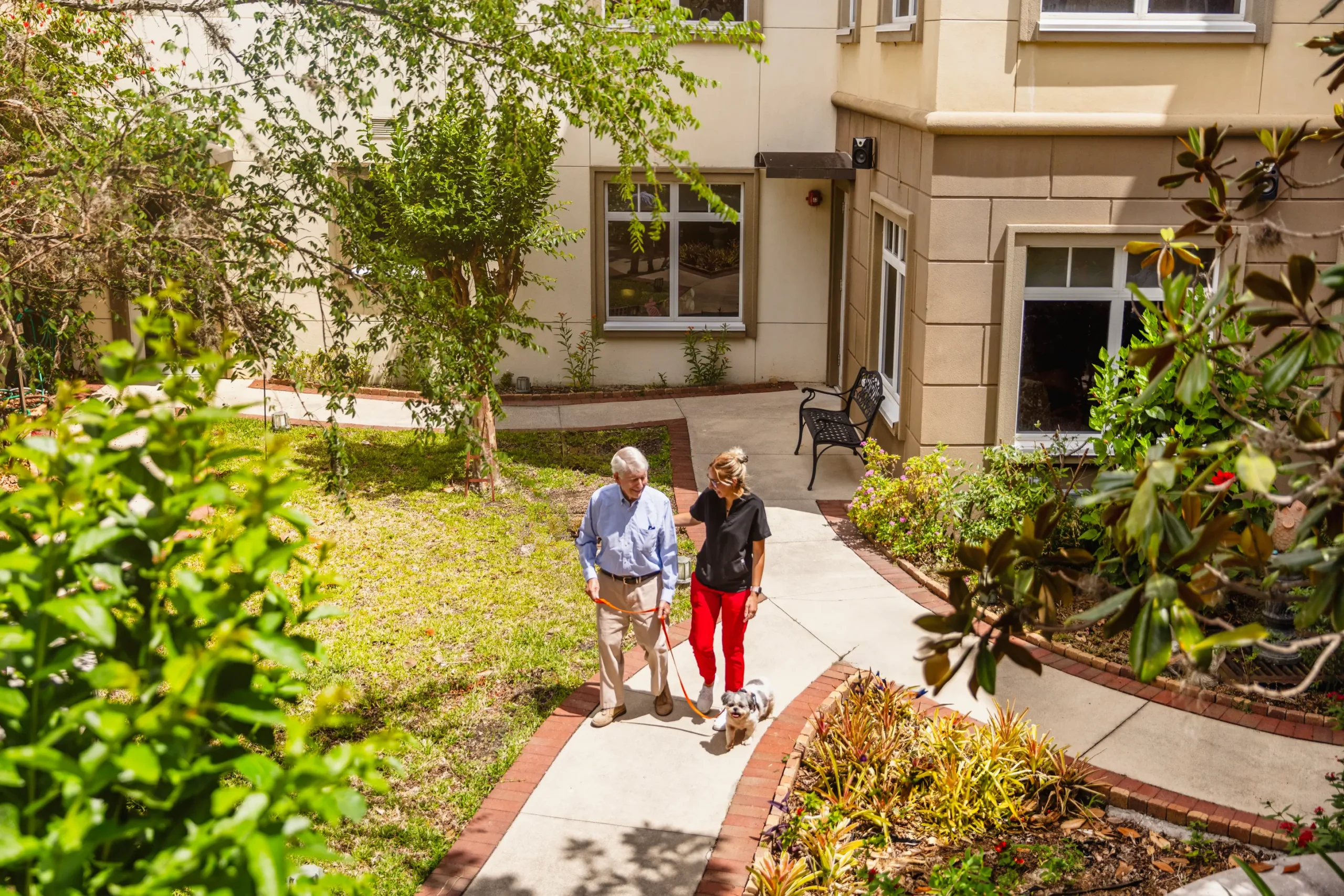 Seniors walking dogs on porch