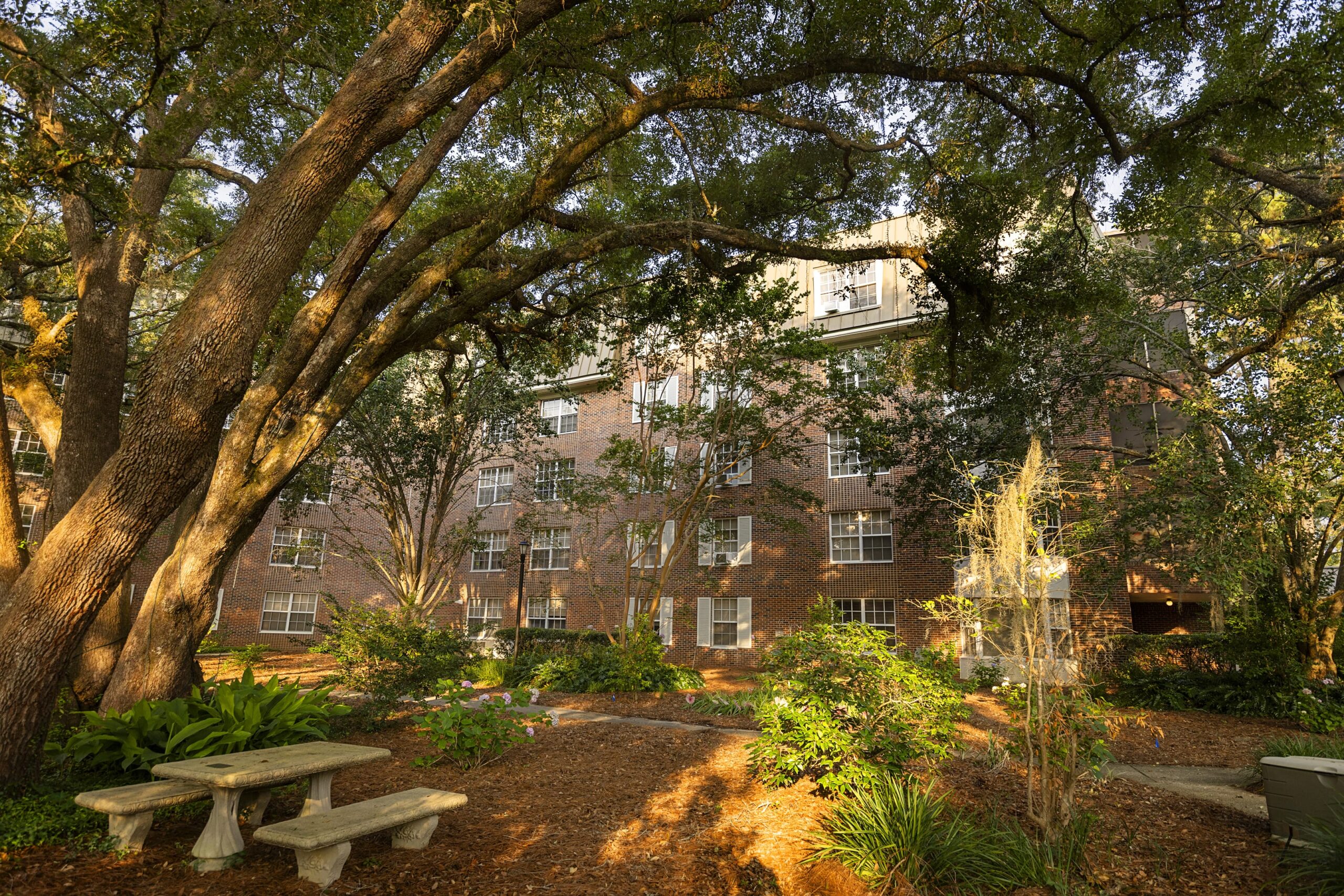 Exterior of Apartments