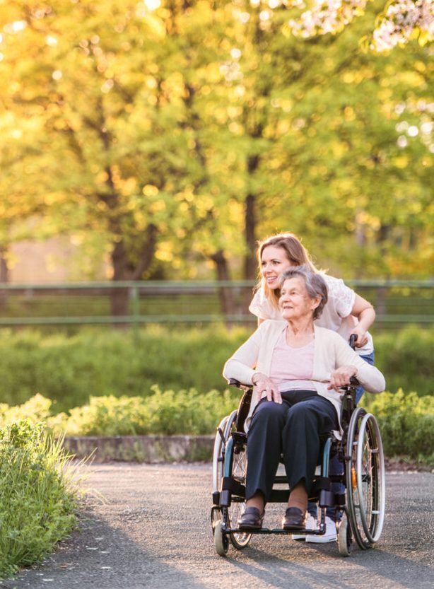 Elderly grandmother in wheelchair with an adult granddaughter outside in spring nature.