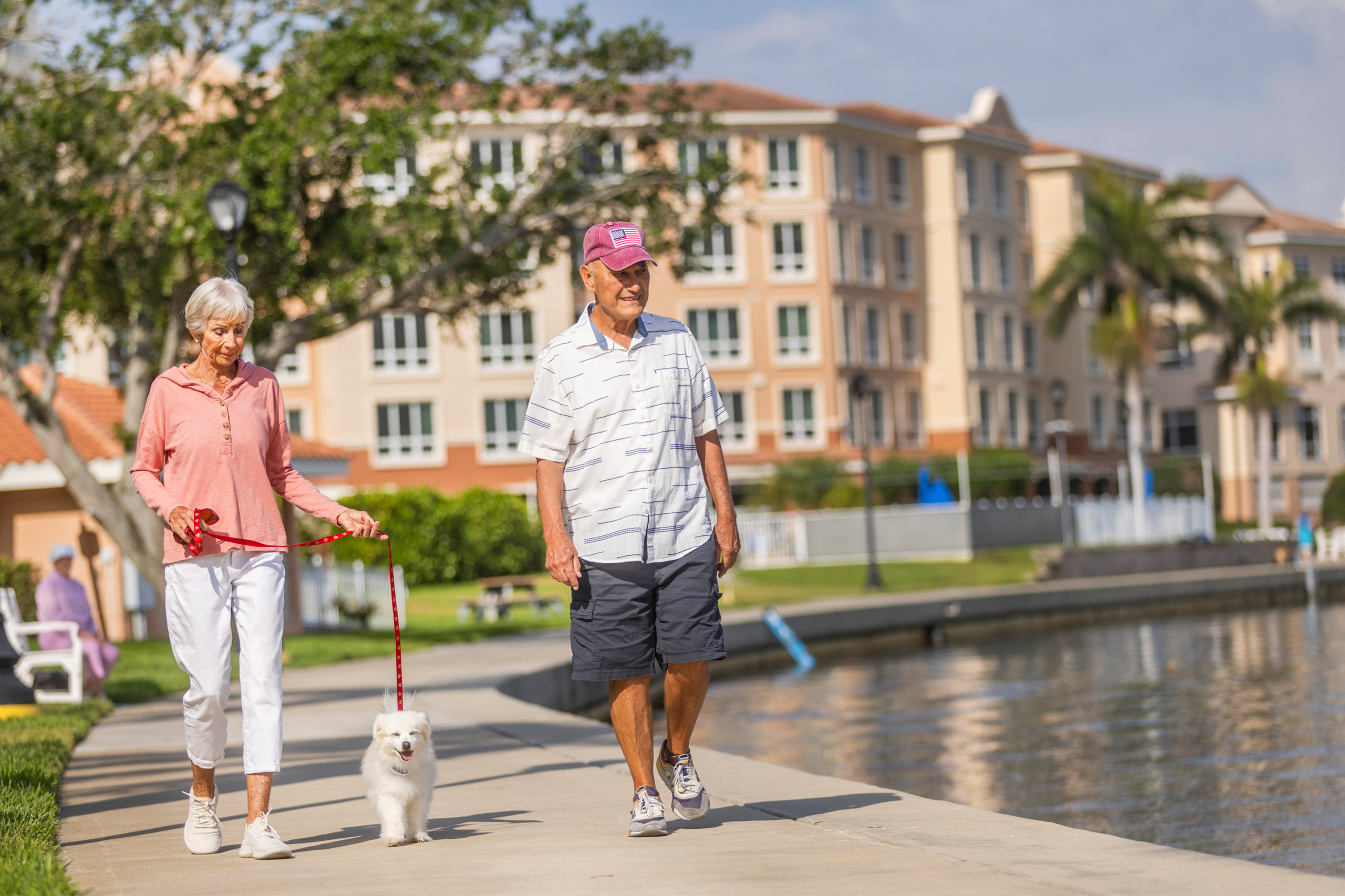 Man and woman walking their dog along the Tampa Bay