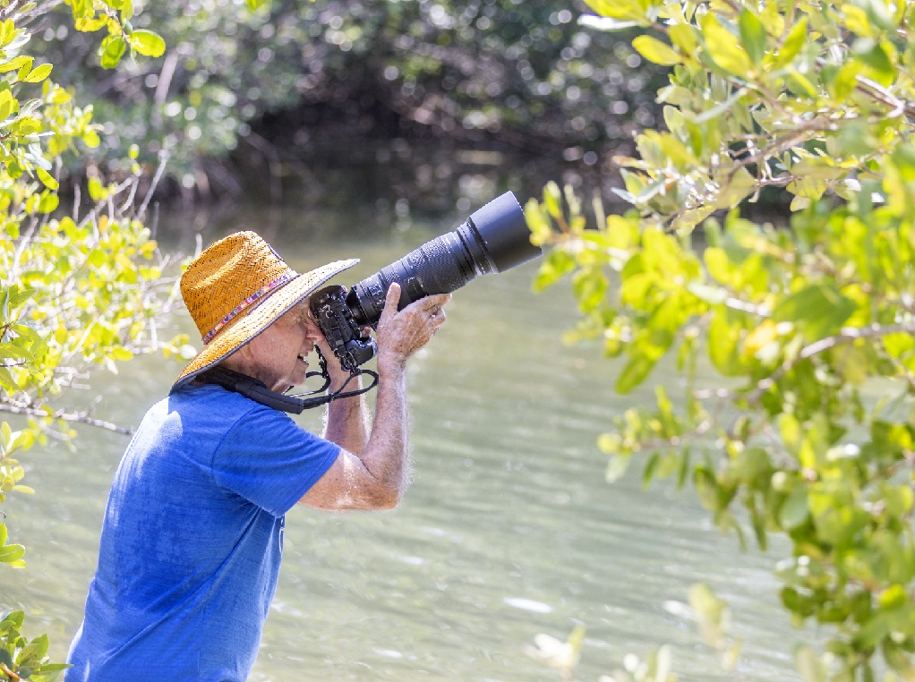 senior man stands amid Gulf Coast Little Bayou mangrove with large camera