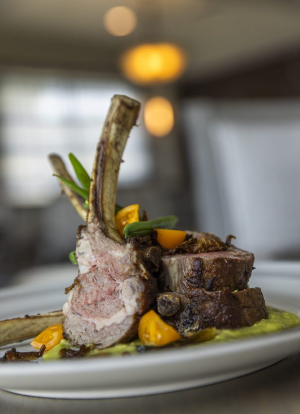 up close image of a dinner plate