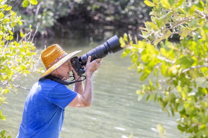 senior man stands amid Gulf Coast Little Bayou mangrove with large camera