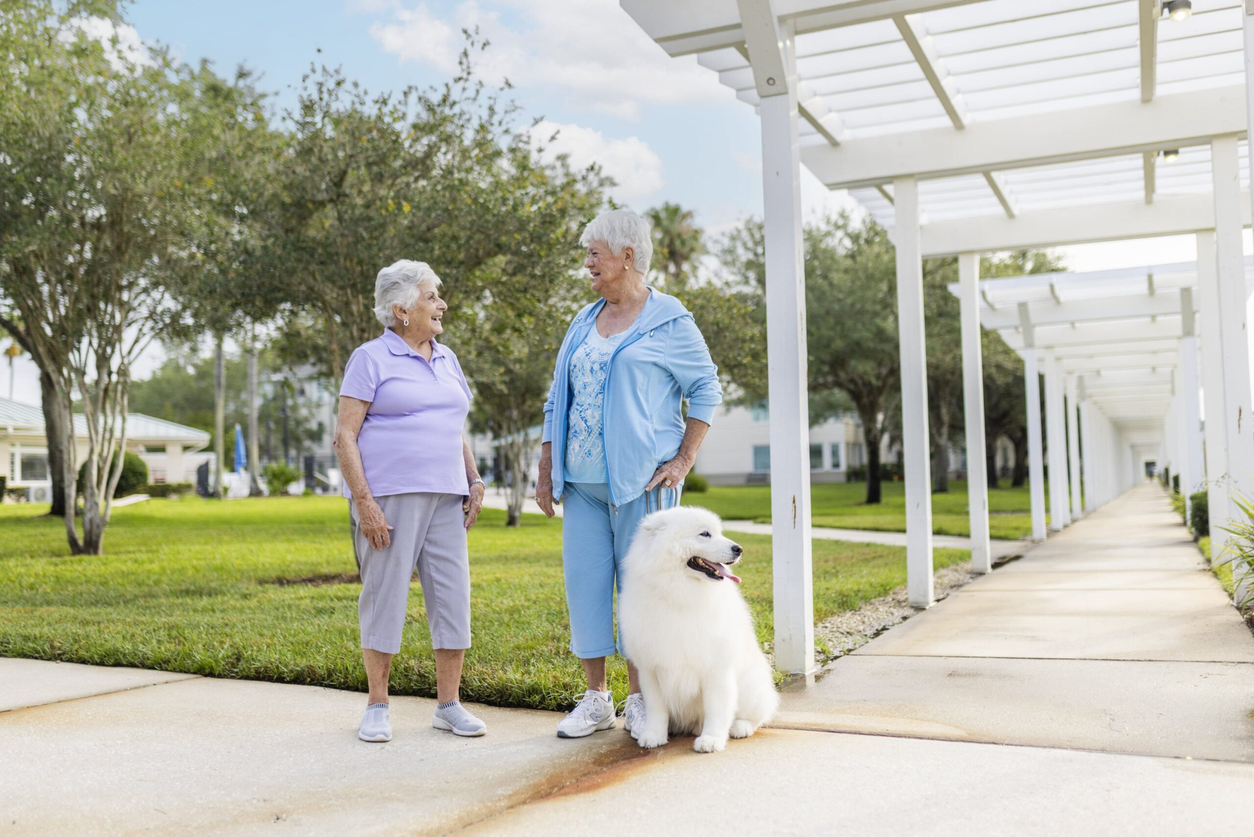 Senior friends run into each other while on walks