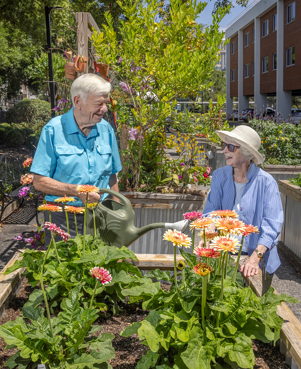 Senior man and senior woman watering a raised garden of flowers