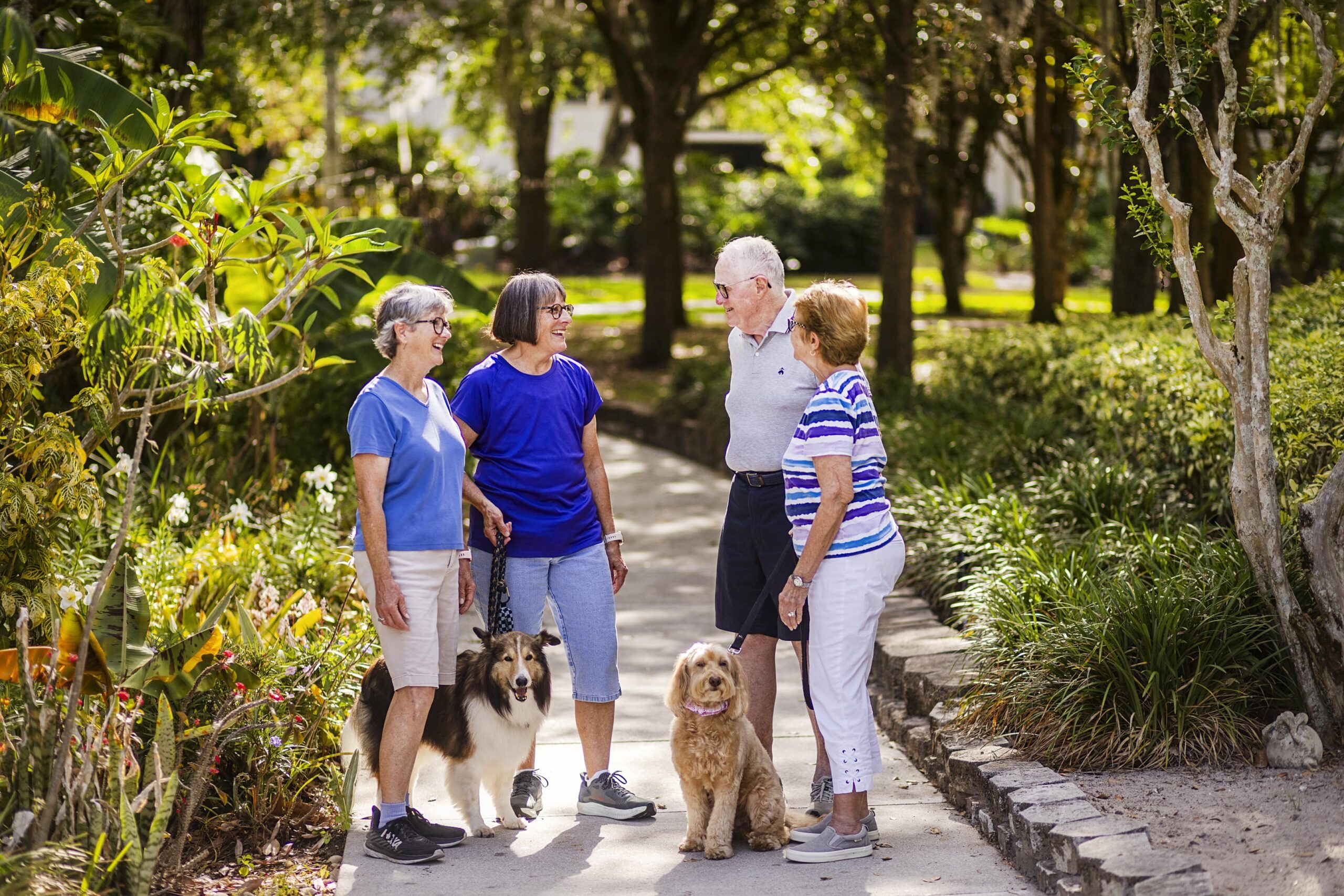 Senior couples both walking dogs run into each other and share a conversation