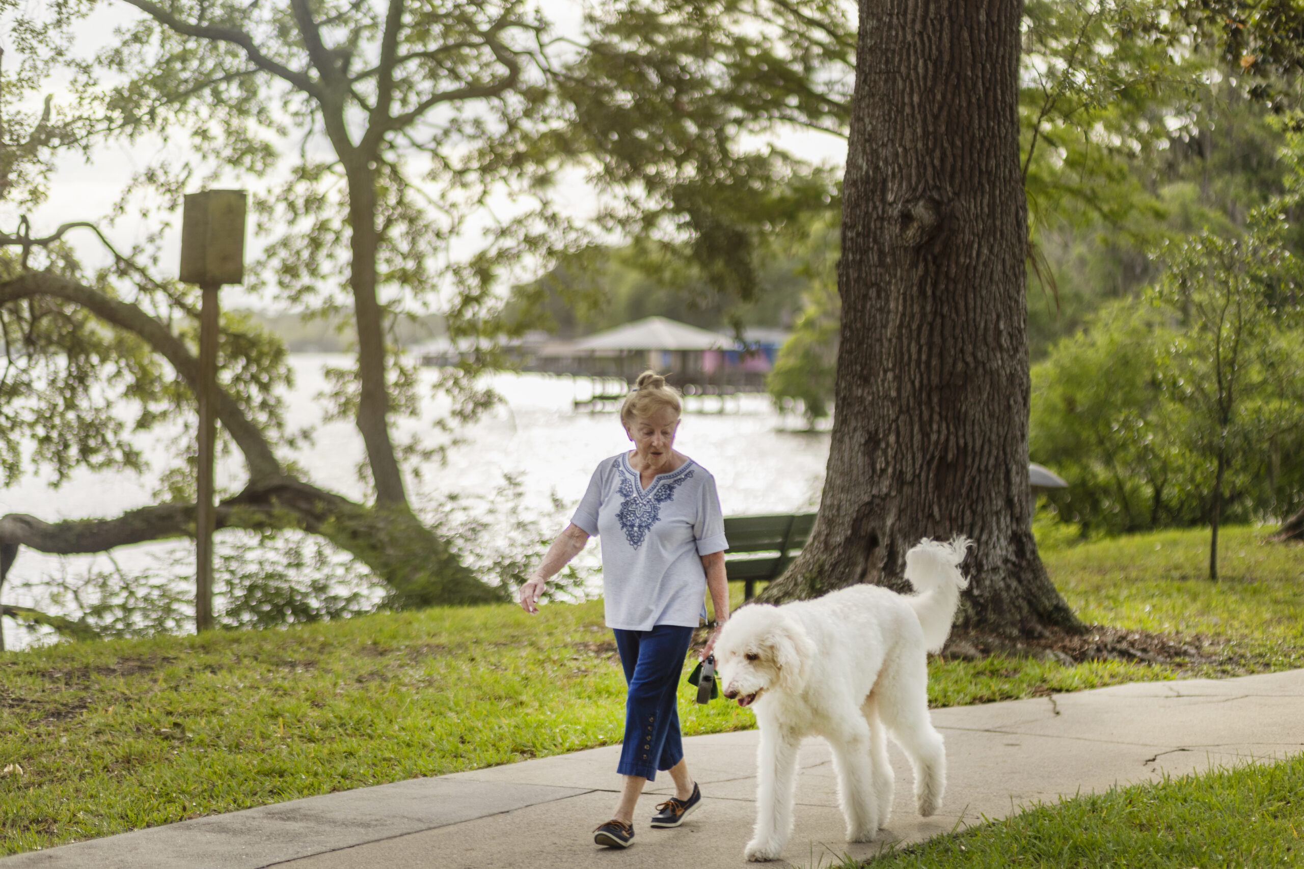 senior with dog