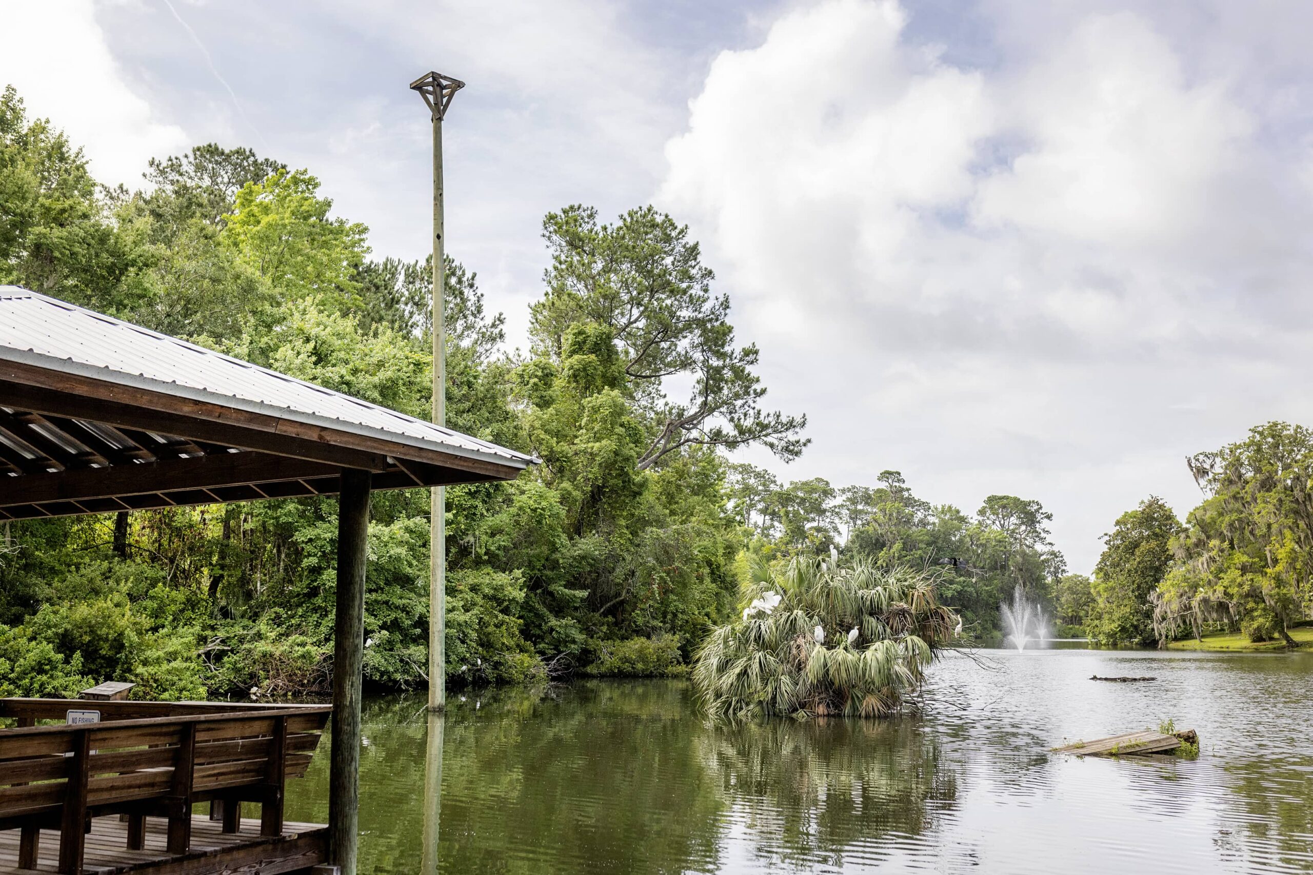 Lake at Westminster Woods at Julington Creek