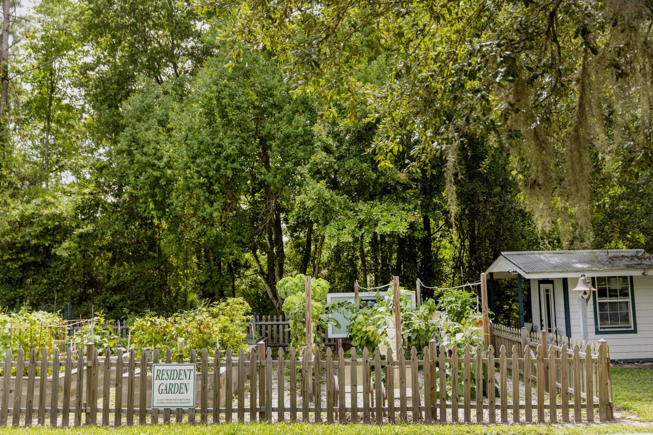 Resident Garden at Woods at Julington Creek