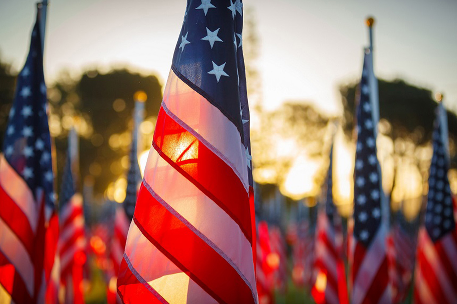 American flags and the sunset