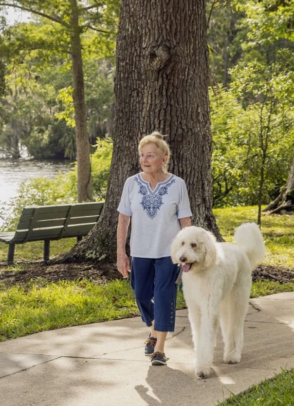 senior woman walks large white poodle along St. John's River in Jacksonville