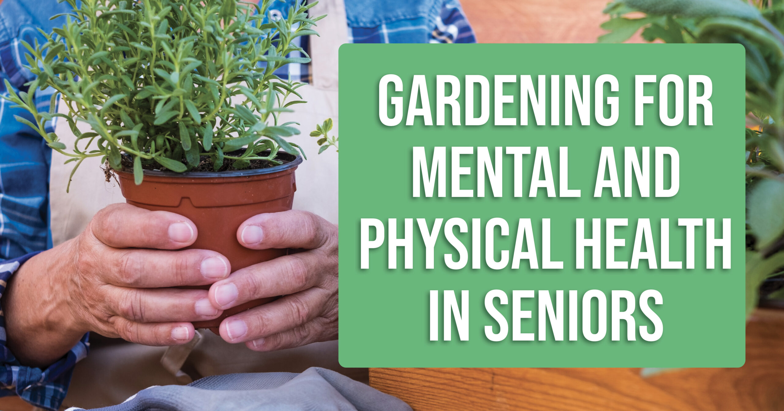 Gardening for Health in Seniors Graphic