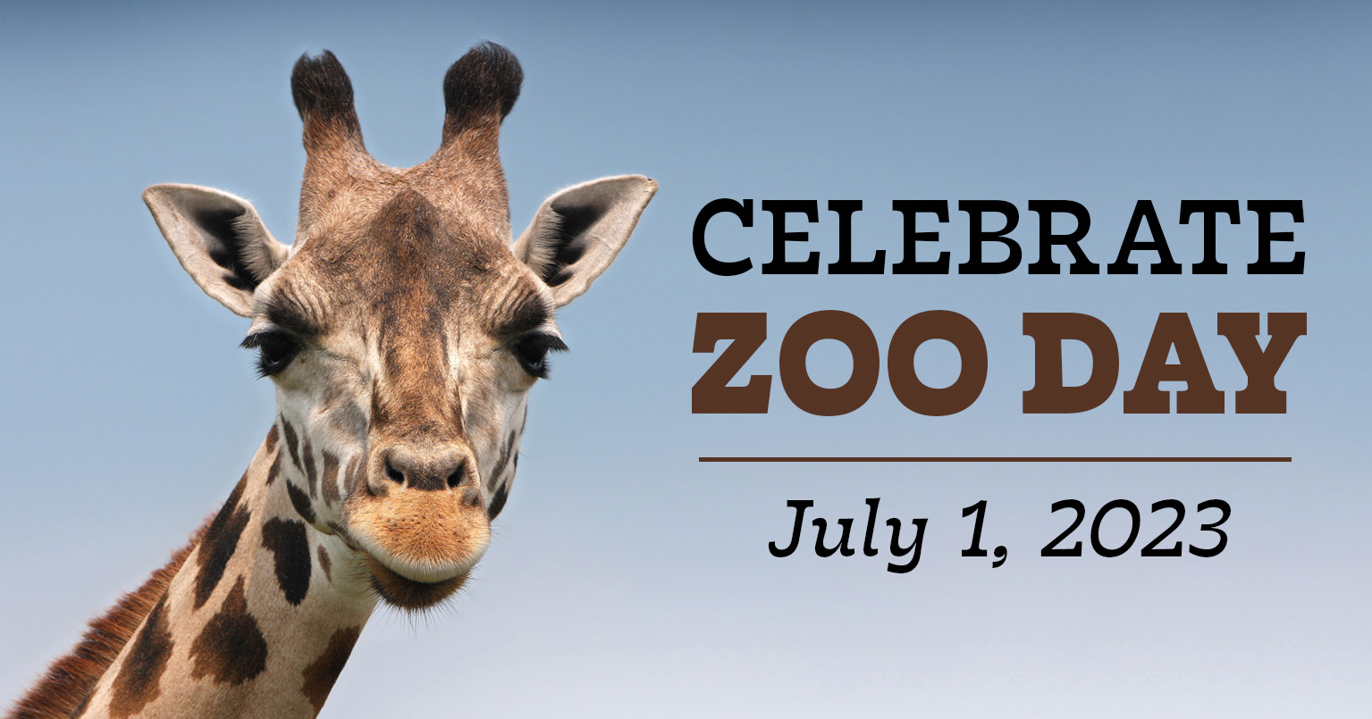Celebrate wildlife education and enjoy time with the family on National Zoo Day