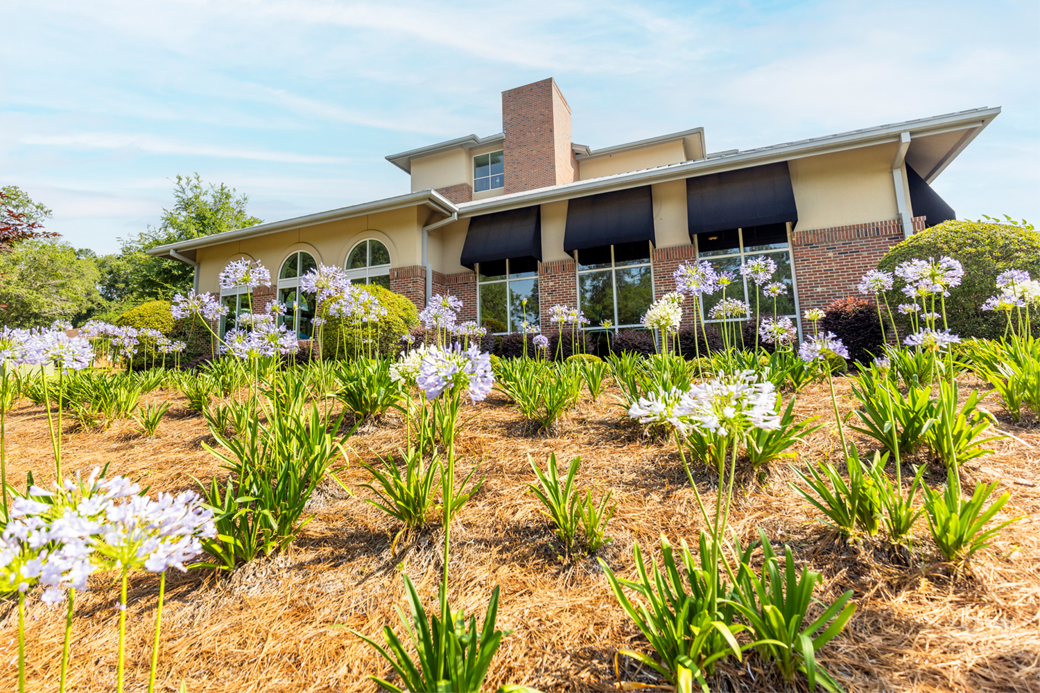 Scenic exterior view of Westminster Oaks in Tallahassee, FL, a Newsweek Best Nursing Home and CMS High-Performing Facility