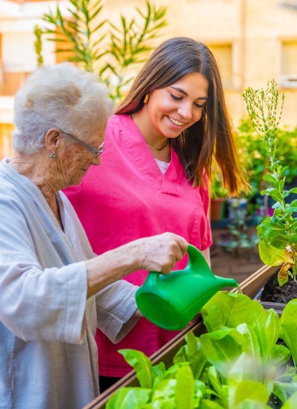 Elder woman and nurse watering plants in a garden at geriatric