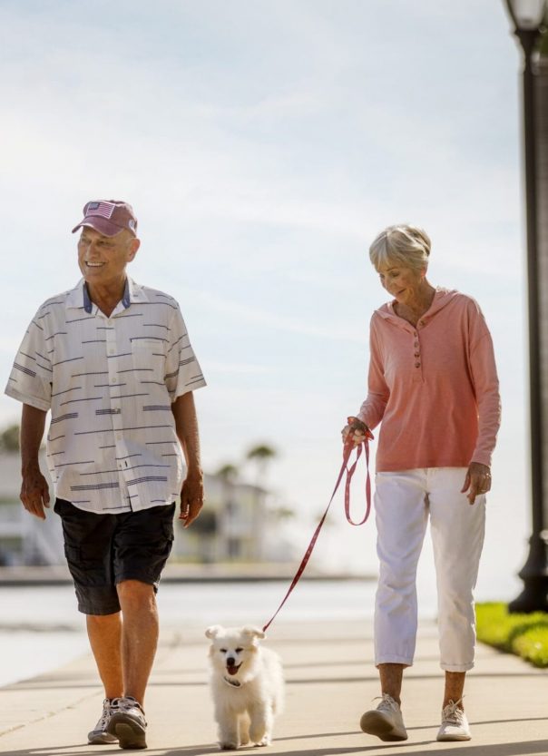 Senior couple on a walk with their dog