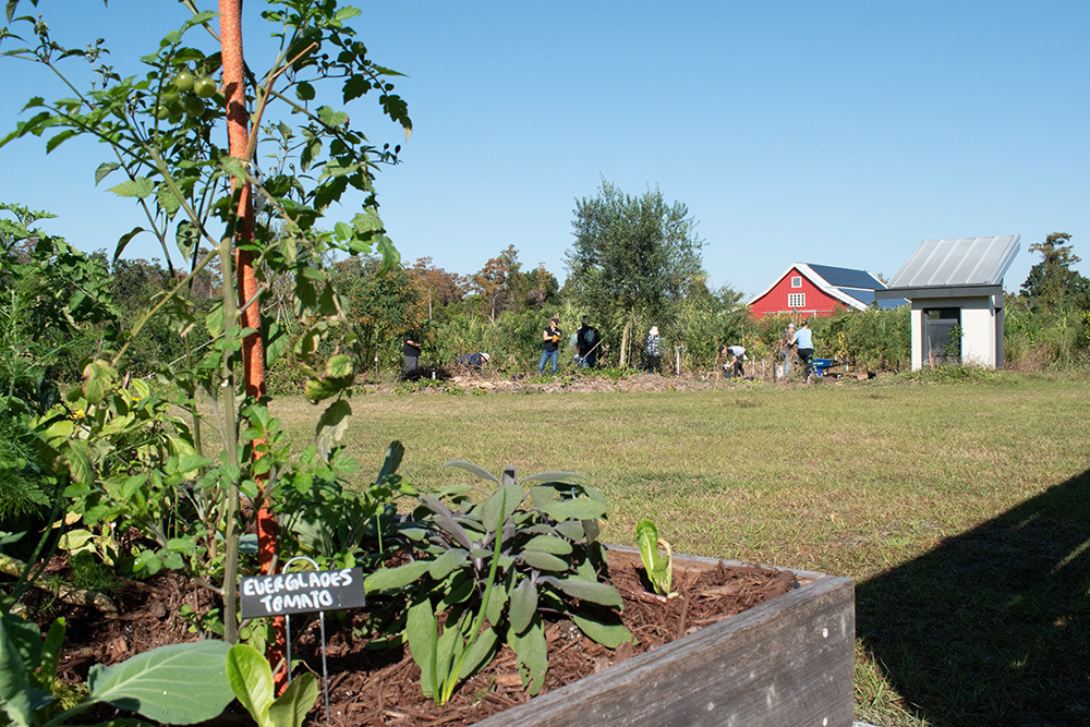 Green senior living practices, such as sustainable agriculture, can improve both the environment and senior well-being